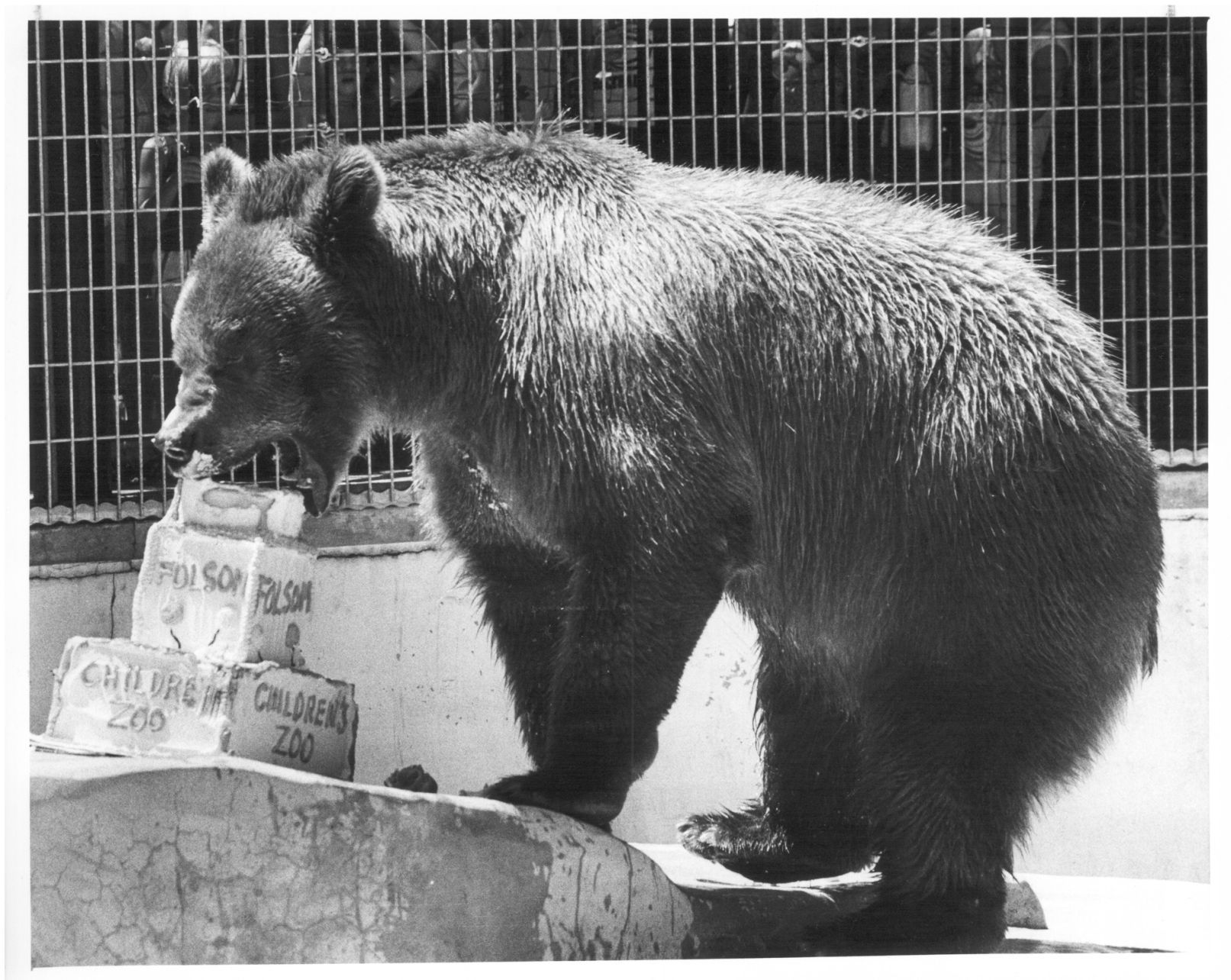 Lincoln Children's Zoo 50th Anniversary